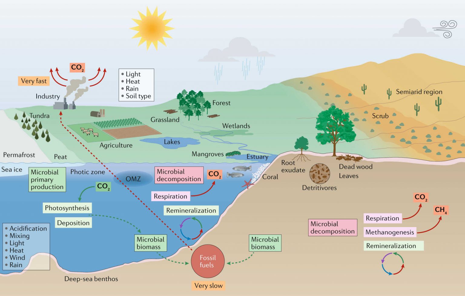 scientists-warning-microorganisms-and-climate-change-scientists