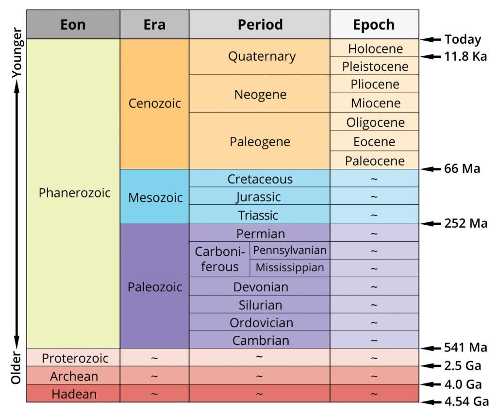 quaternary time period climate